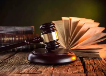 Meslek Yasası Meselesi